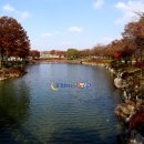 청소년수련원(생활관 1층) 이미지