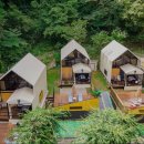 북면192 | [가평 숙소추천] 오하브 글램핑 가족과 반려견 모두 함께 즐길 수 있는 공간