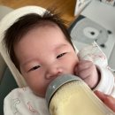 라온 궁 | 먹어요 . 앱솔루트 유기농 궁 1단계 후기(태어나서 ~ 6개월까지)