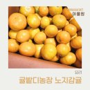 와우농장 | 아이들간식, 고당도귤 귤밭디농장 노지감귤 후기