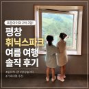 바다게임랜드 | 강원도 여름 여행, 평창 휘닉스파크 어땠을까? 초등 아이와 2박 3일 후기