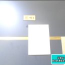 둔산중로-9 이미지