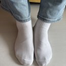 사계절 옷 | 삭스포스트 남성양말 사계절 반골지 중목 양말 8켤레 후기