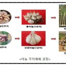 주아식품 이미지