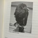 신학농장 | 9월 둘째 주, 읽은 책들 ✶༄ ‧₊˚