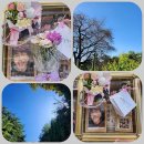 큰고개공원 이미지