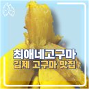 최애네고구마