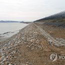 자유로 이미지