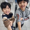 태권도 이규현사범 아카데미 | 유아 태권도 겨루기 대회 후기 (아카데미태권도, 광주 쌍촌동)