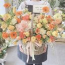 소가화 이미지