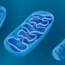 어라운드짐 망원역점 이미지