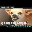 어굿플레이스 이미지