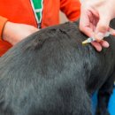 동아동물병원 이미지