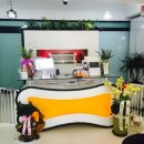 바우밸리 이미지