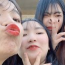 원광정보예술고등학교 이미지