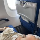 모닝캄빌리지 | [오키나와 가족여행 프롤로그] 19개월 아기 두 명과 두 가족의 3박 4일 현실 육아 여행 (항공권·리조트...