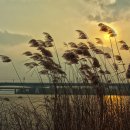 물향기공원 이미지