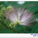 서건유통 이미지