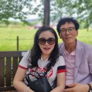 유월의 피크닉 이미지