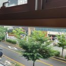 니뽕내뽕 마곡점 이미지