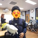 서귀포외국문화학습관 이미지