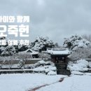 포시즌비치호텔 이미지