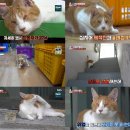 활보농장 이미지