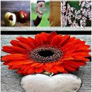 가족과 함께하는 도자기체험 | 가족과 함께하는 도자기 체험 장소