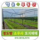 경산행운공인중개사사무소 이미지