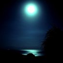 달빛자락 이미지