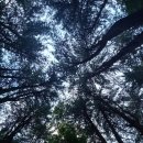 대곡3교 이미지