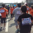 다인복싱클럽 이미지