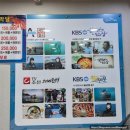포항 죽도시장 횟집 추천 연다라 회 대게 식당 : 대게 배터지게 먹은 후기