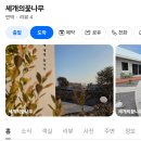 제주 구좌 숙소 세개의꽃나무 아이랑 6박 7일 내돈내산 후기