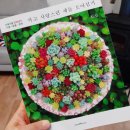 다육식물 세덤 너무 매력있어!! (용설이네 바위솔 농원)