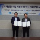디티