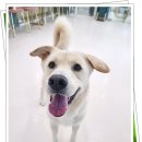 아이조아 요양보호소 경기광주 이미지