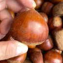 재철농장 이미지