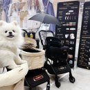 로얄펫 | 수원메쎄 케이펫페어 소형견 강아지개모차 후기, 로얄테일즈아리아 vs 글로리아 애견유모차 비교