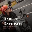 팀 팻보이 | Harley Davidson 팻보이 시승 후기