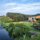 소나무향기 이미지