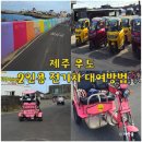 우도빌리지 | 제주도 우도 전기차 2인 대여 방법 면허증 이용 후기