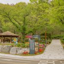 화원동산 주차장 이미지