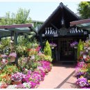 타샤의 정원 이미지