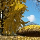 직업상담사 필기 - 노동시장론 이미지