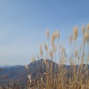 바다향그대로 이미지