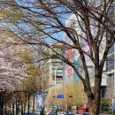 예술회관역 이미지