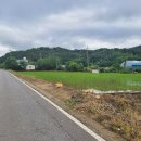 금산농장 2 이미지