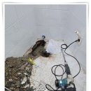 아산 정화조 청소업체 믿고 맡길 수 있는 온양정화