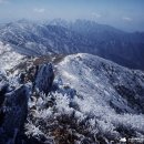 [울산안내산악회] 1월14일(일) 덕유산 향적봉 눈꽃산행 & 곤도라탑승 눈꽃여행 이미지